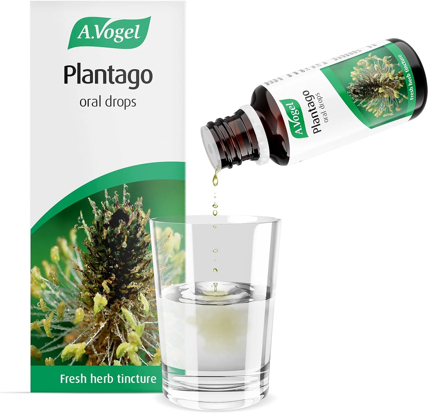 A Vogel Plantago Drops 50ml - Image 4