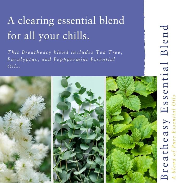 Absolute Aromas Blended Breatheasy Essential Oils 10m - Image 4