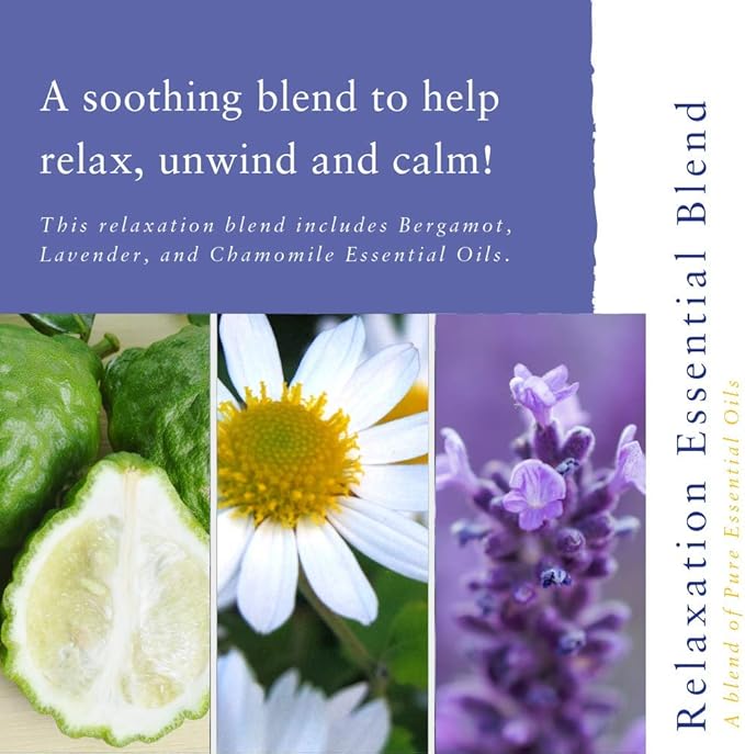 Absolute Aromas Blended Relaxation Essential Oils (10ml) - Image 7