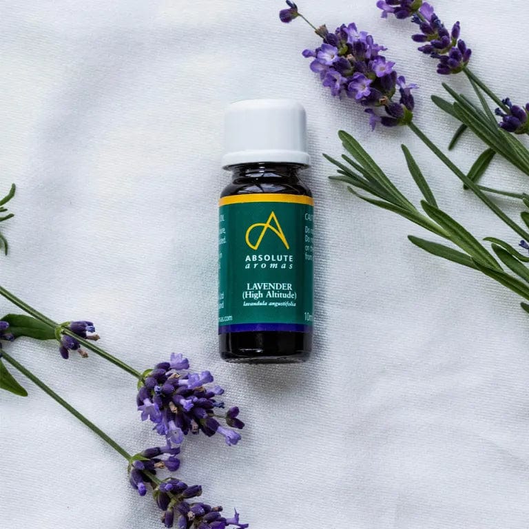 Absolute Aromas Organic Lavender High Altitude (10ml) - Image 3