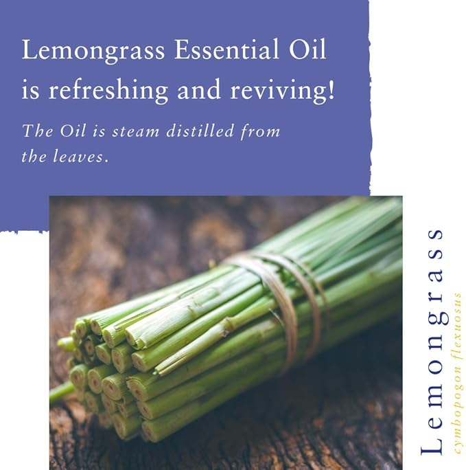Absolute Aromas Lemongrass Essential Oil (10ml) - Image 7