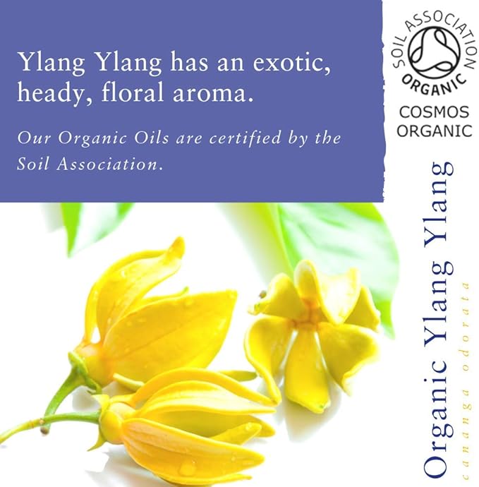 Absolute Aromas Organic Ylang Ylang Essential Oil (10ml) - Image 4