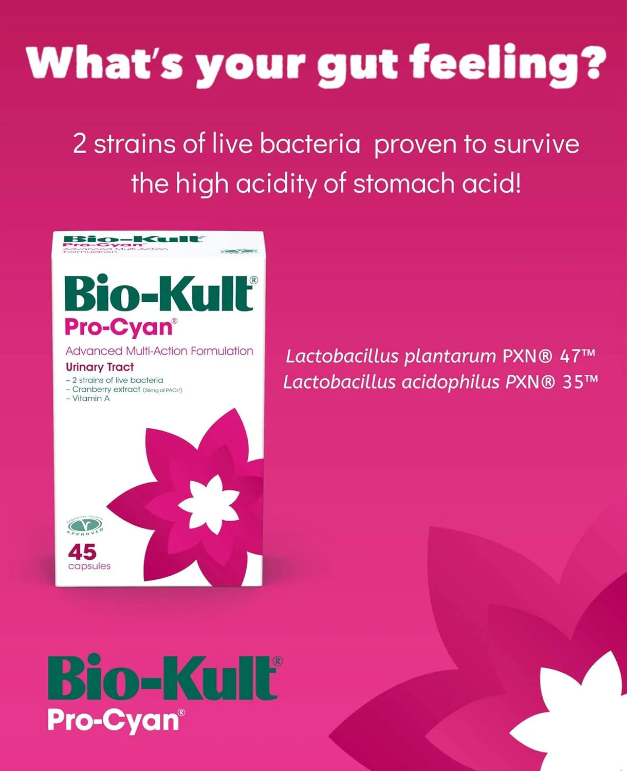 Bio-Kult Pro-Cyan Probiotic 45 Capsules - Image 3