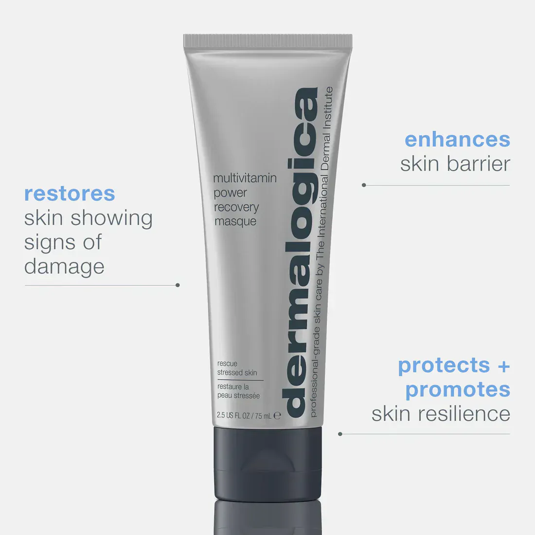 Dermalogica Multivitamin Power Recovery Masque 75ml - Image 7