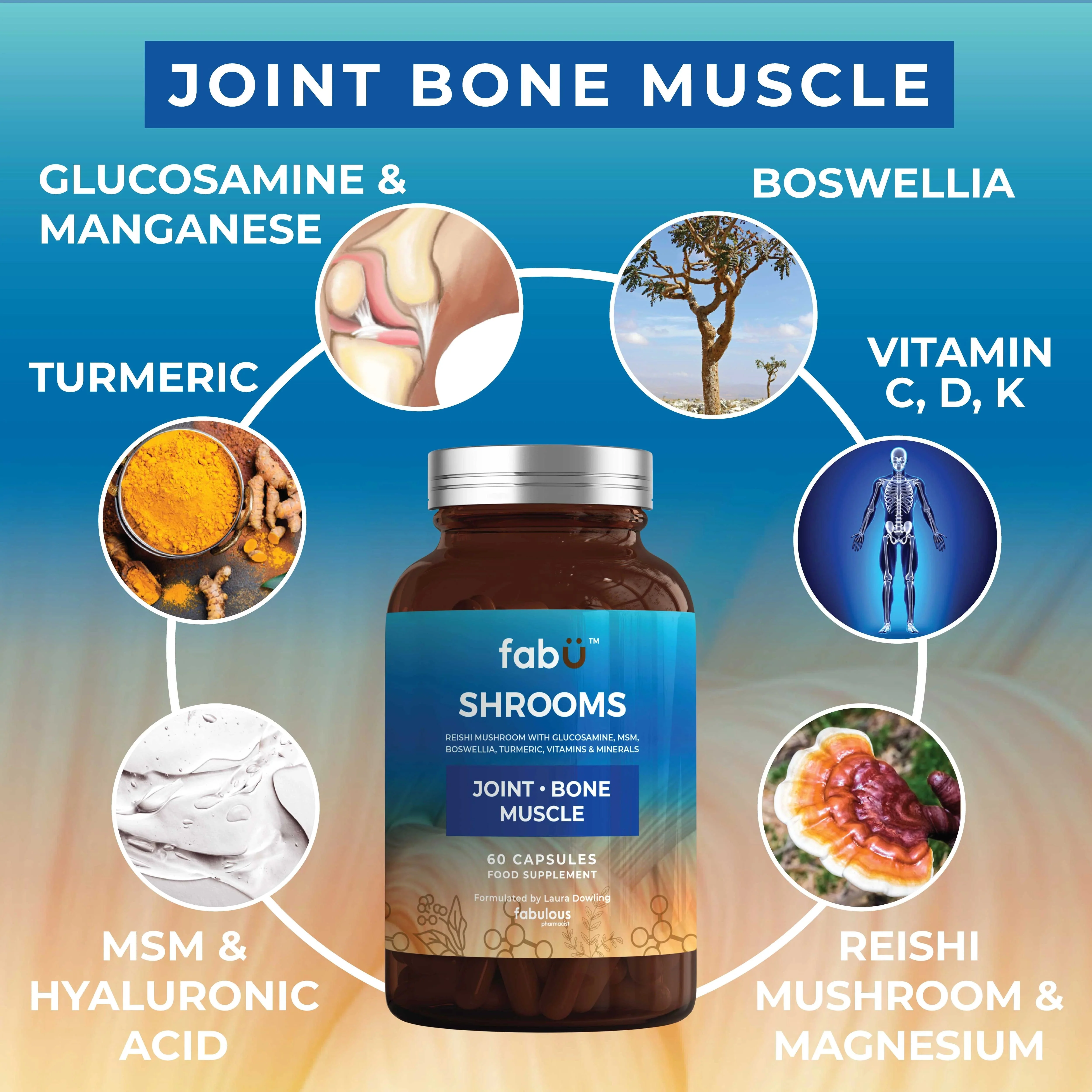 FabU Shrooms Joint Bone Muscle 60 Capsules - Image 3