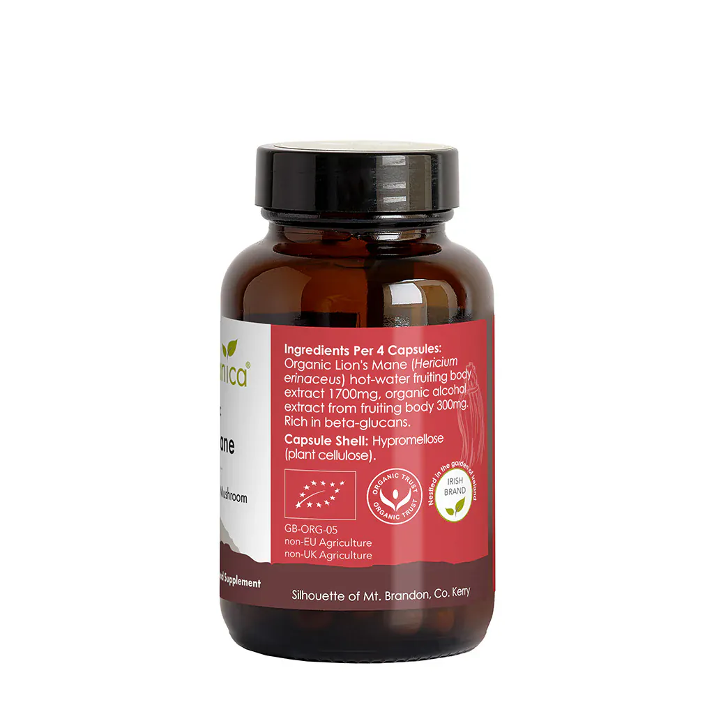 Irish Botanica Lions Mane Mushroom and Bacopa 60 Capsules - Image 3
