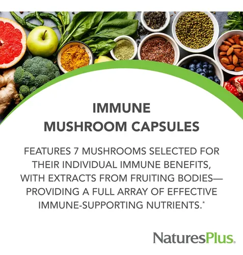 Natures Plus Immune Mushroom 60 Capsules - Image 4