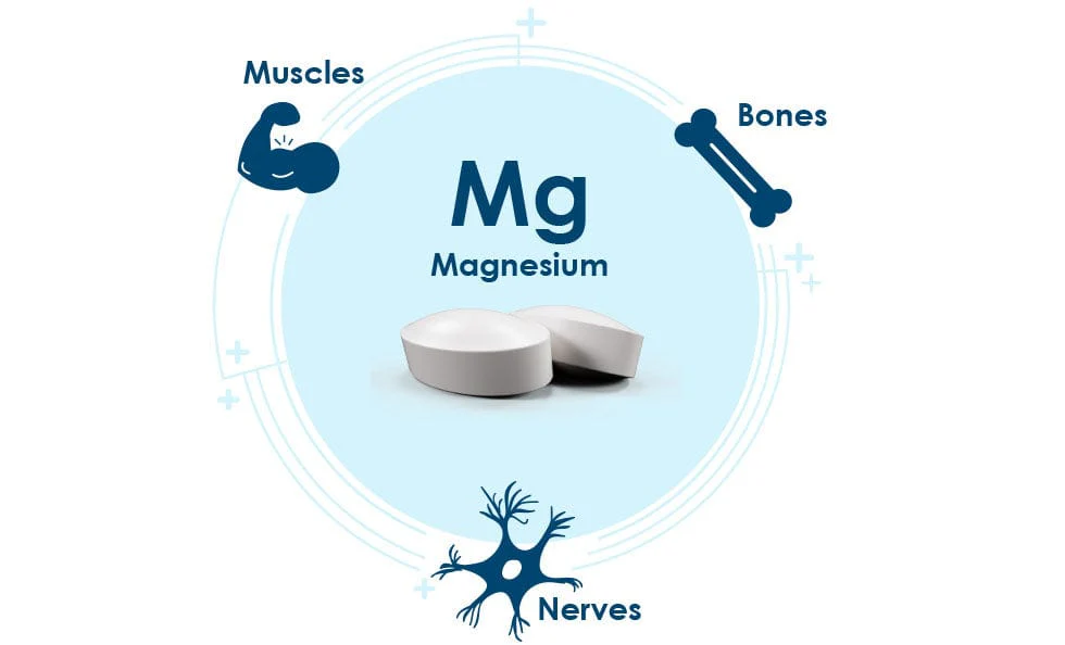 BioActive Magnesium 60 Capsules - Image 5