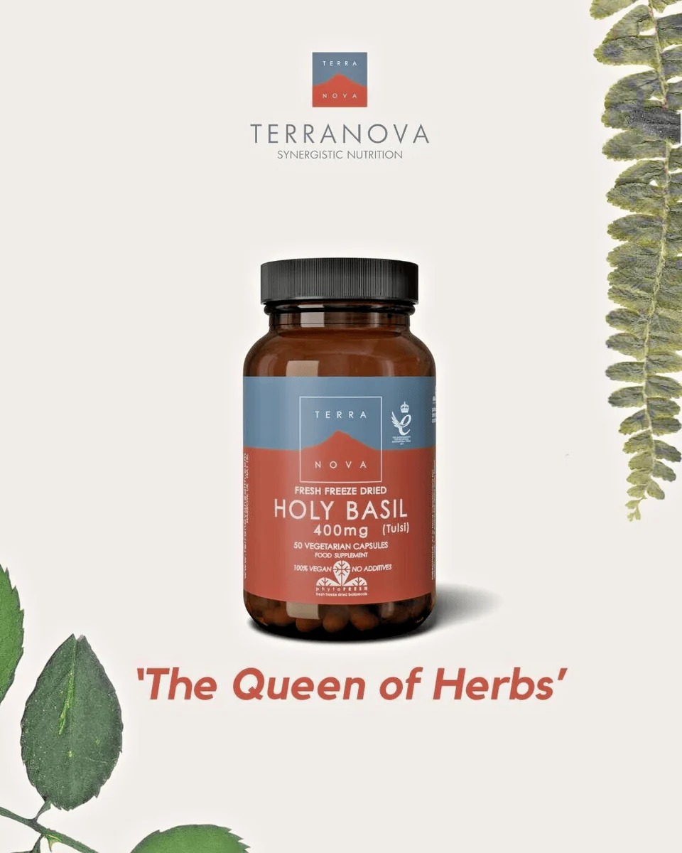 Terranova Holy Basil 400mg Capsules 50 - Image 3