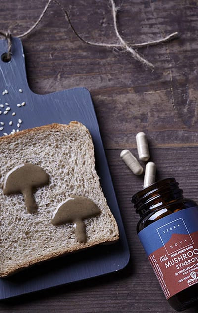 Terranova Mushroom Synergy (50) - Image 4