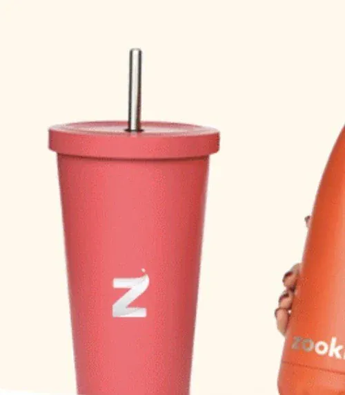 Zooki Stainless Steel Tumbler with Steel Straw 650ml - Image 2